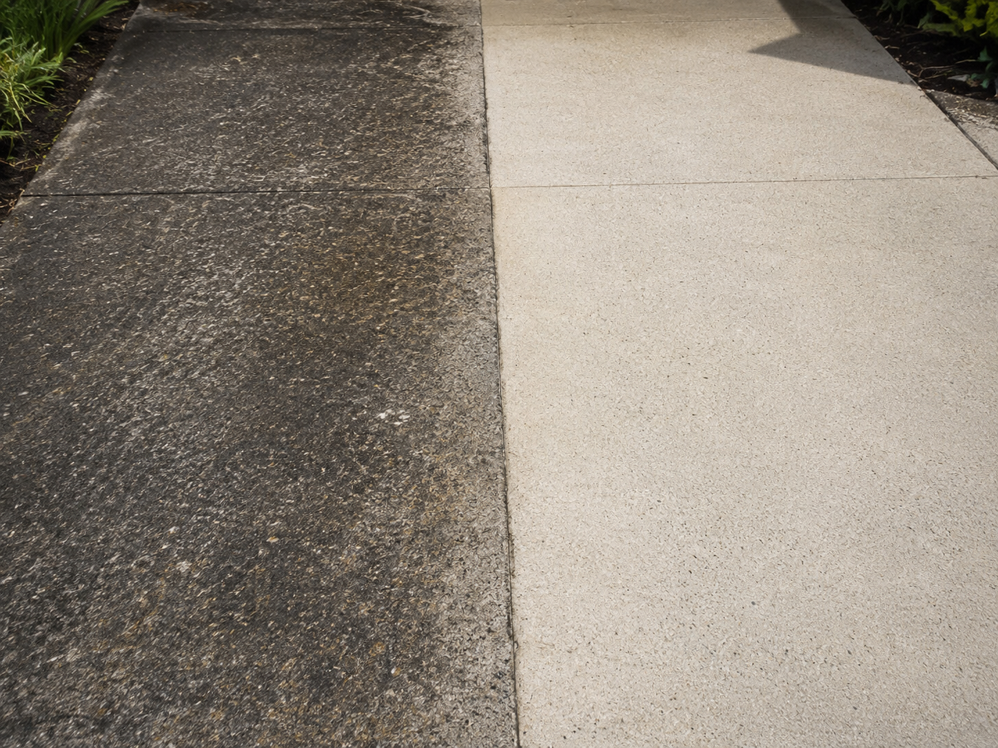 Driveway Before and After Cleaning