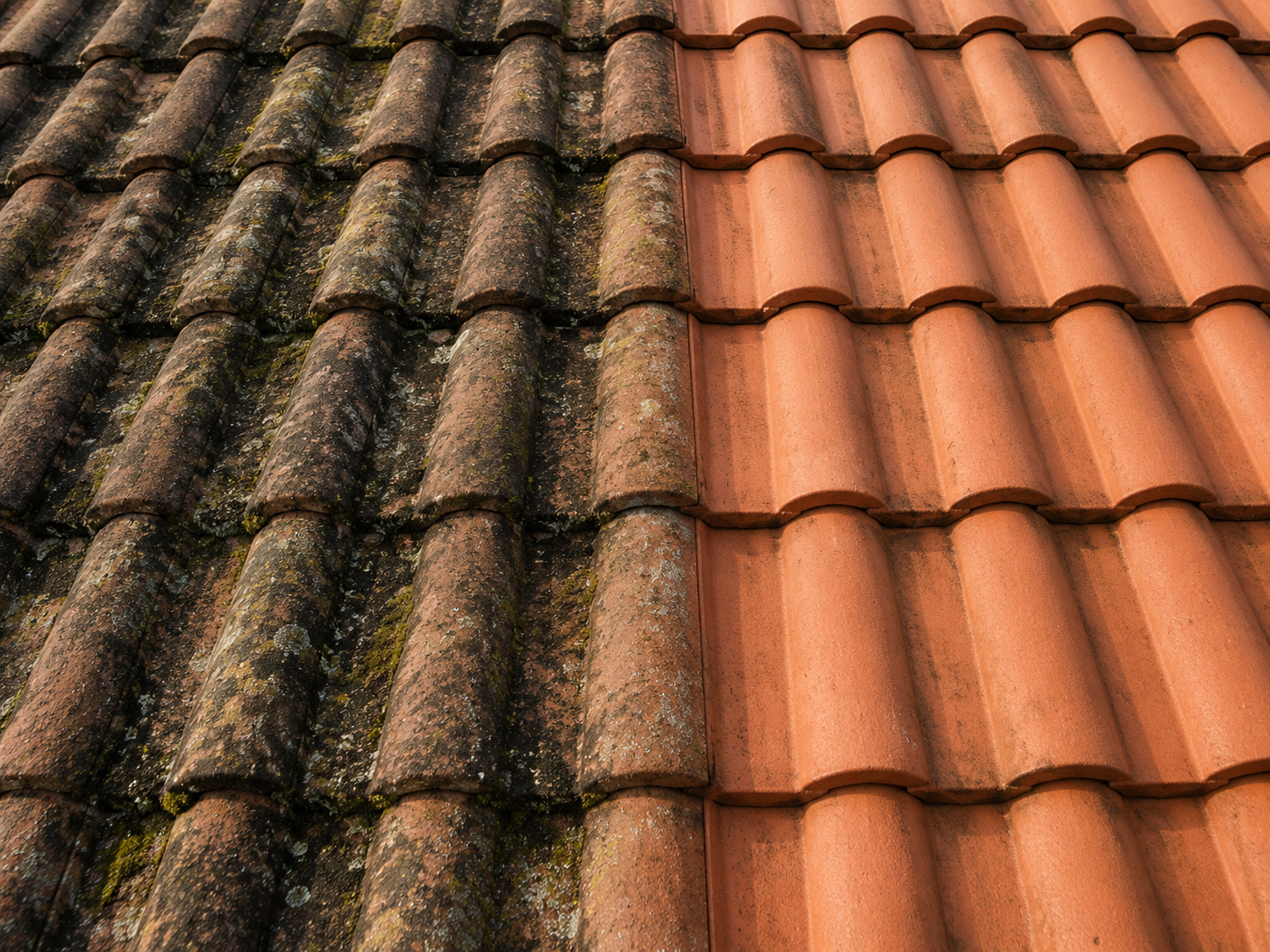 Roof Before and After Cleaning
